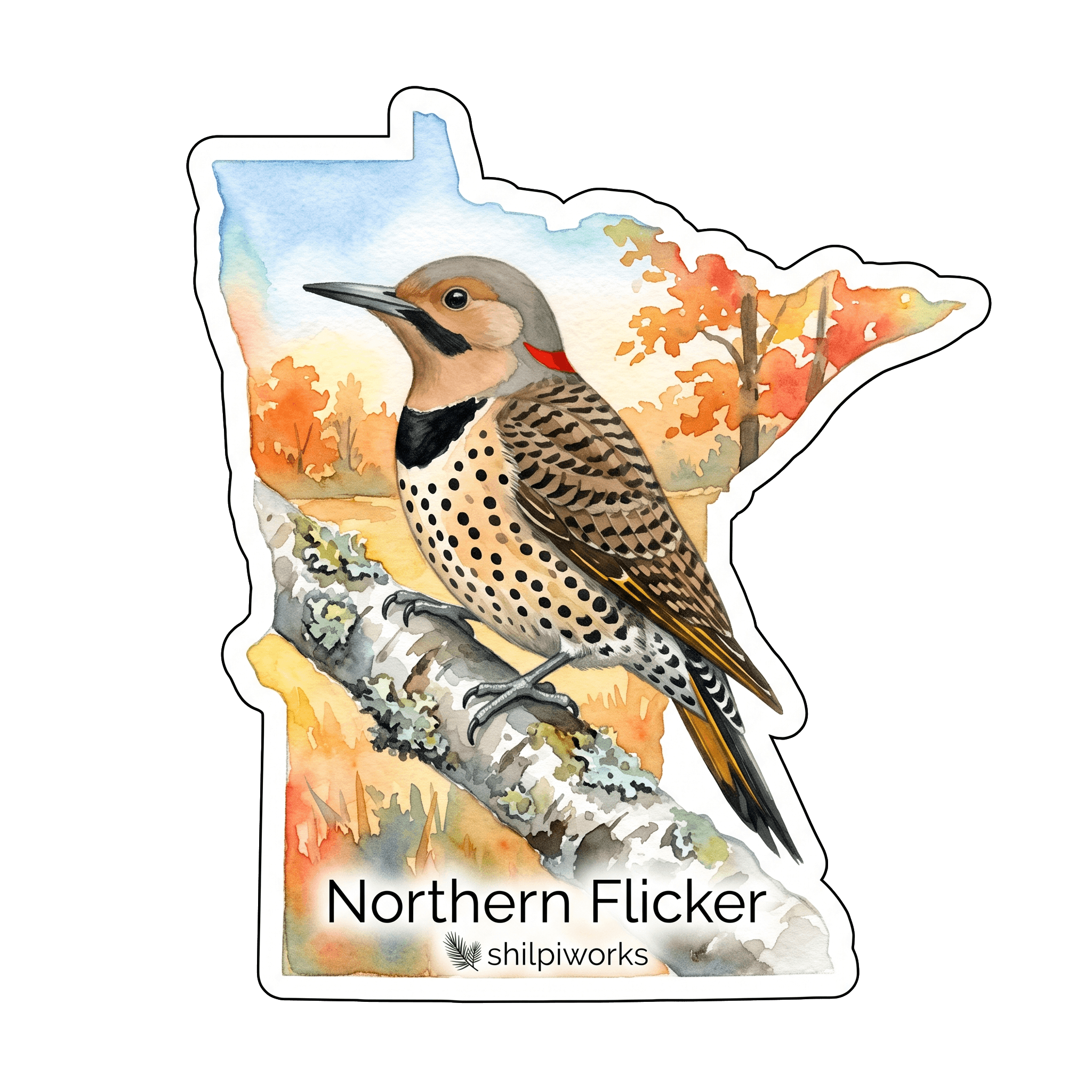 Northern Flicker: Yellow-Shafted Woodpecker