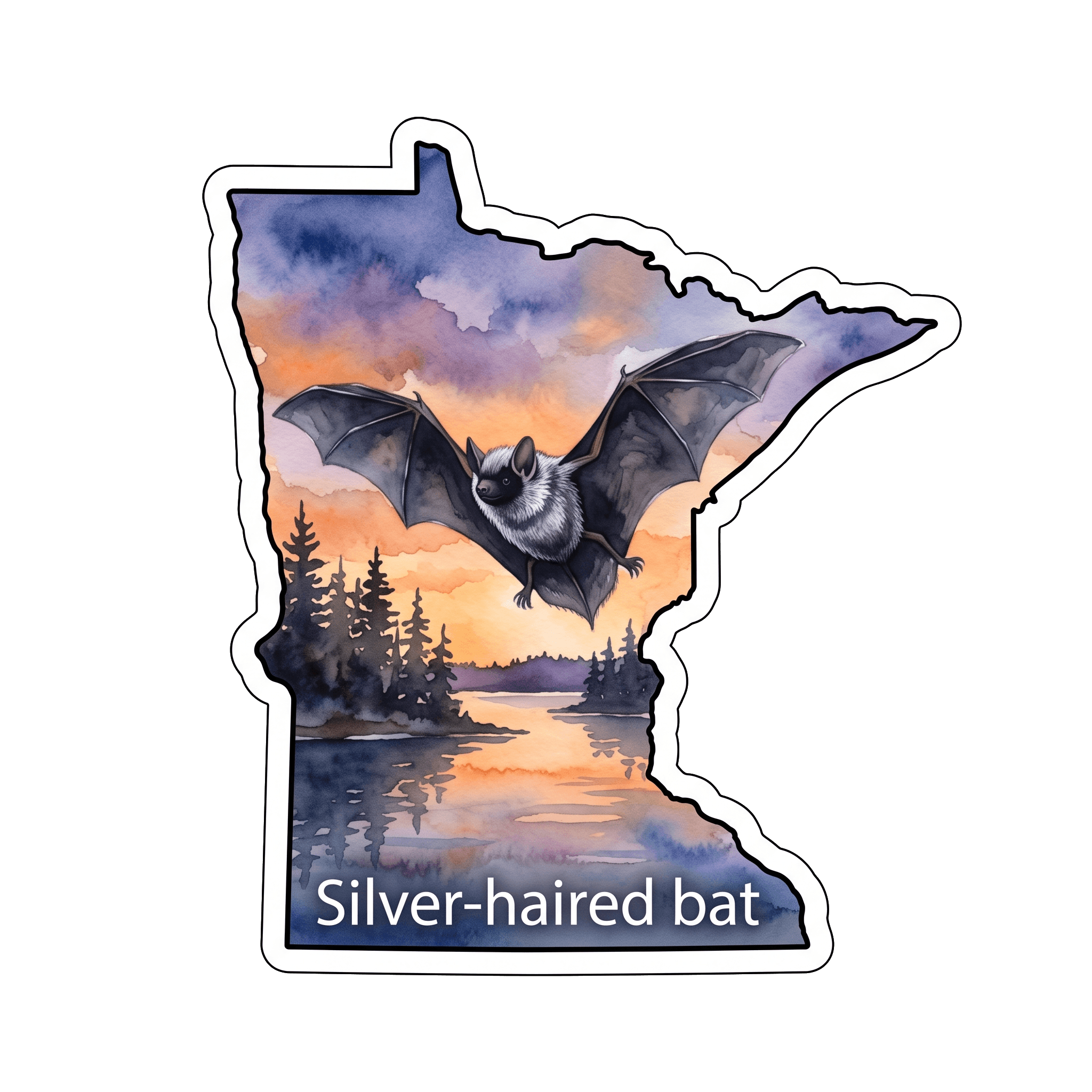 Silver-haired Bat: Forest's Frosted Migrant