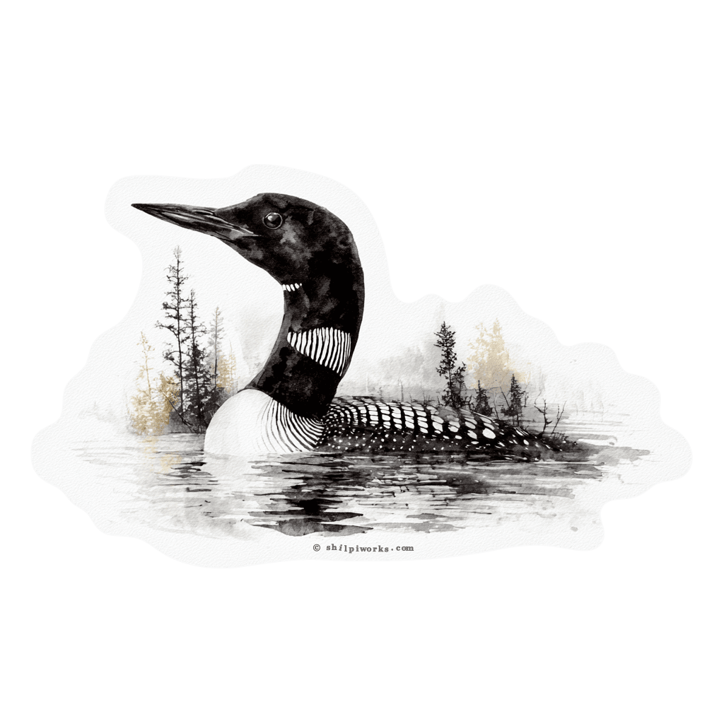 Vinyl sticker depicting a loon swimming in a lake, rendered in watercolor style.