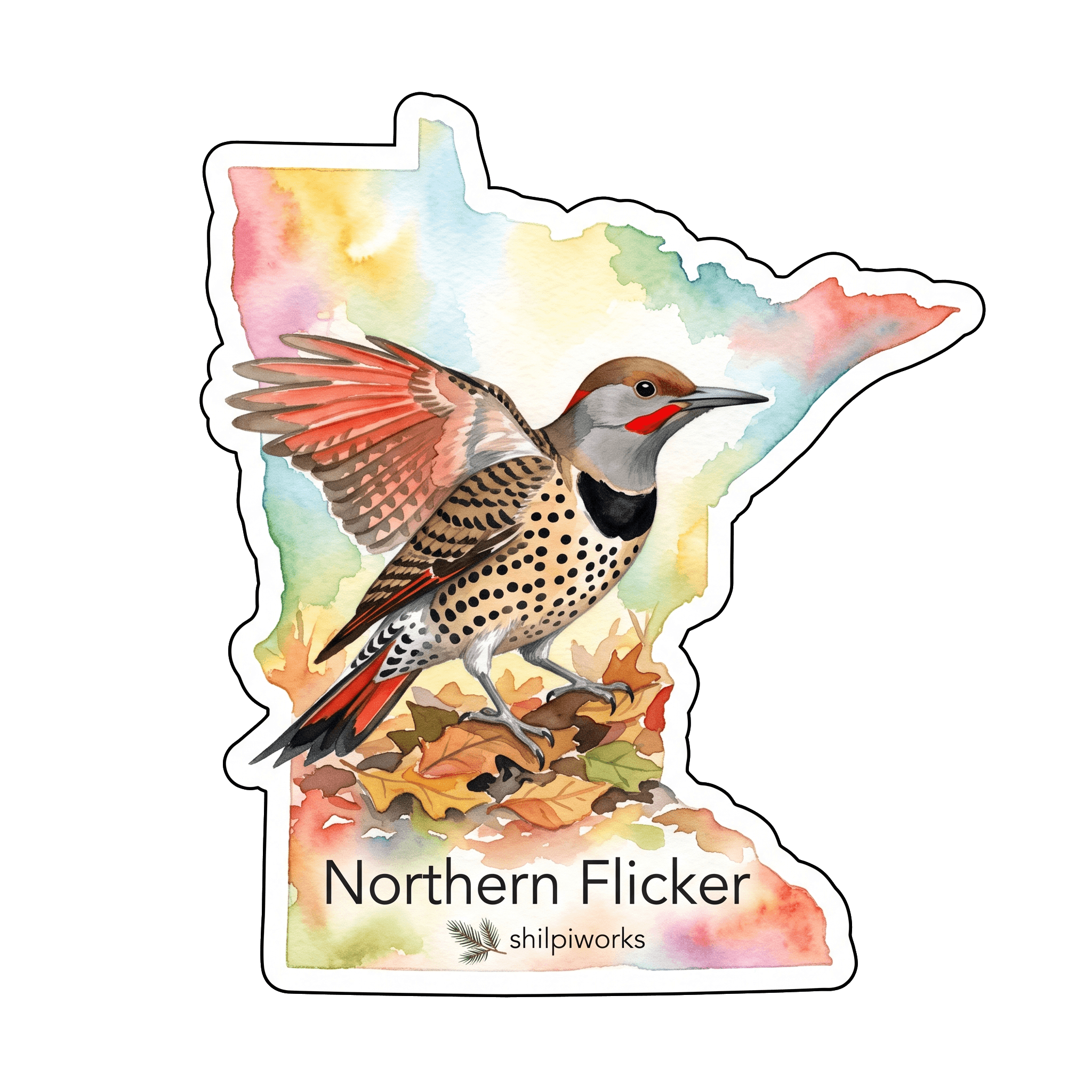 Northern Flicker: Red-Shafted Form