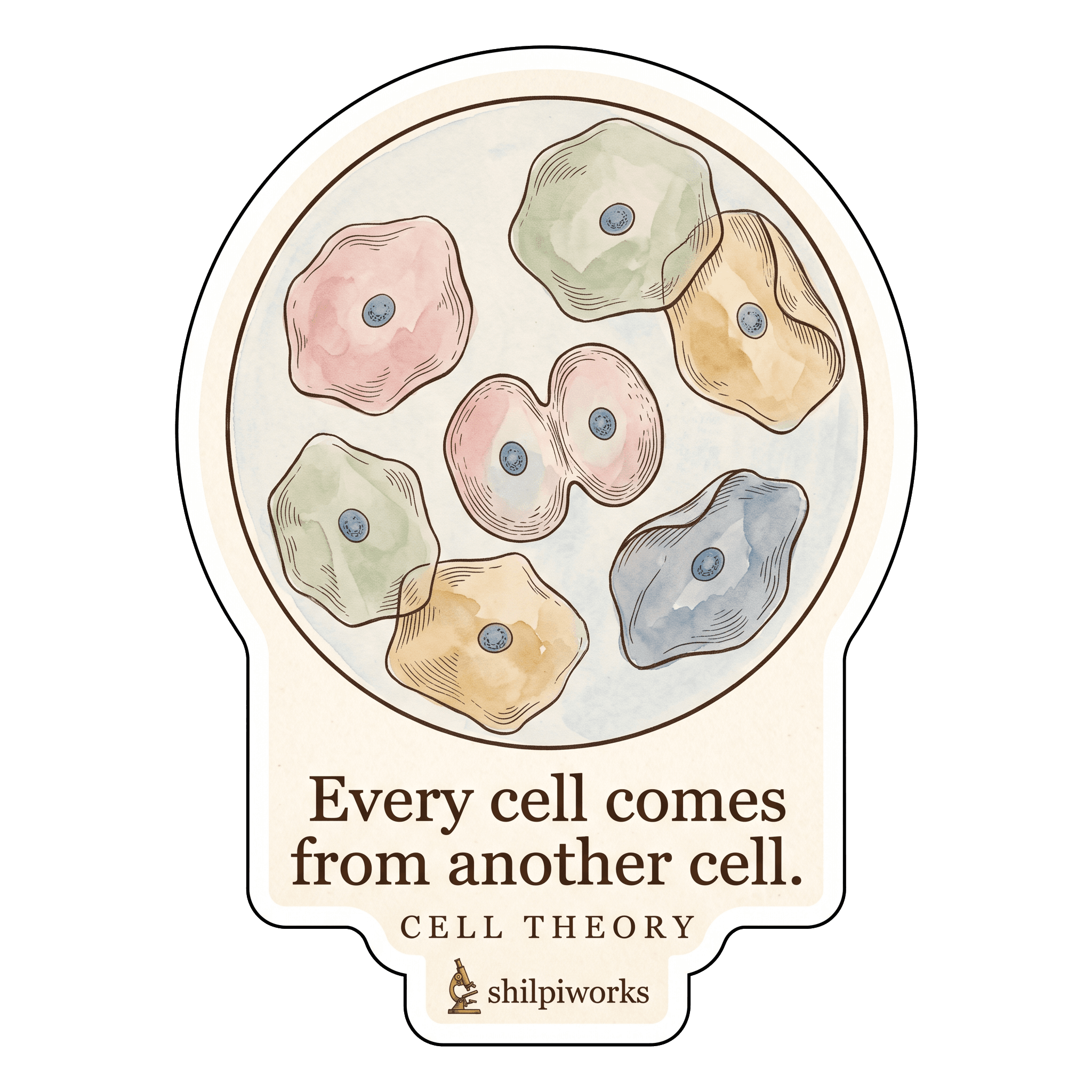 Cell Theory — Every Cell Comes From Another Cell