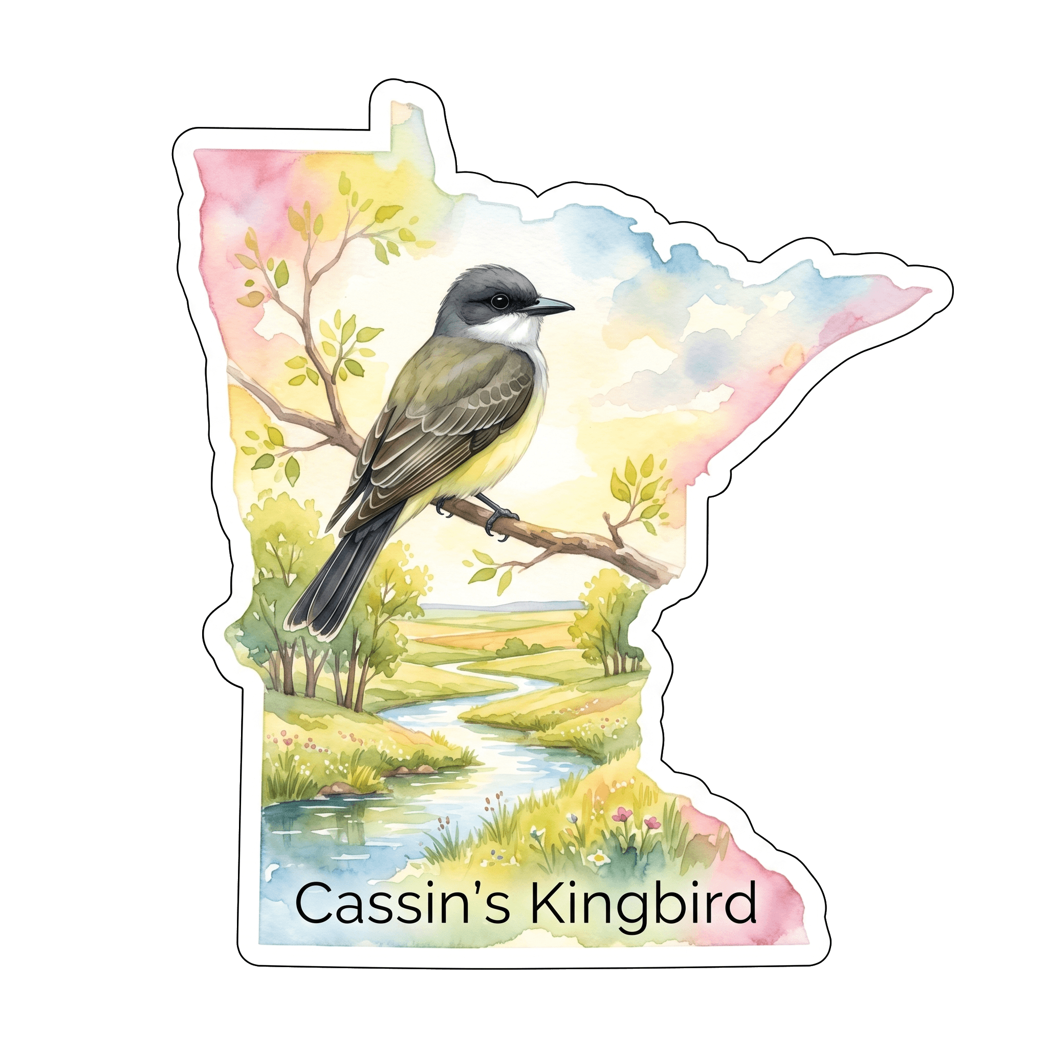 Cassin's Kingbird: Western Vagrant's Visit
