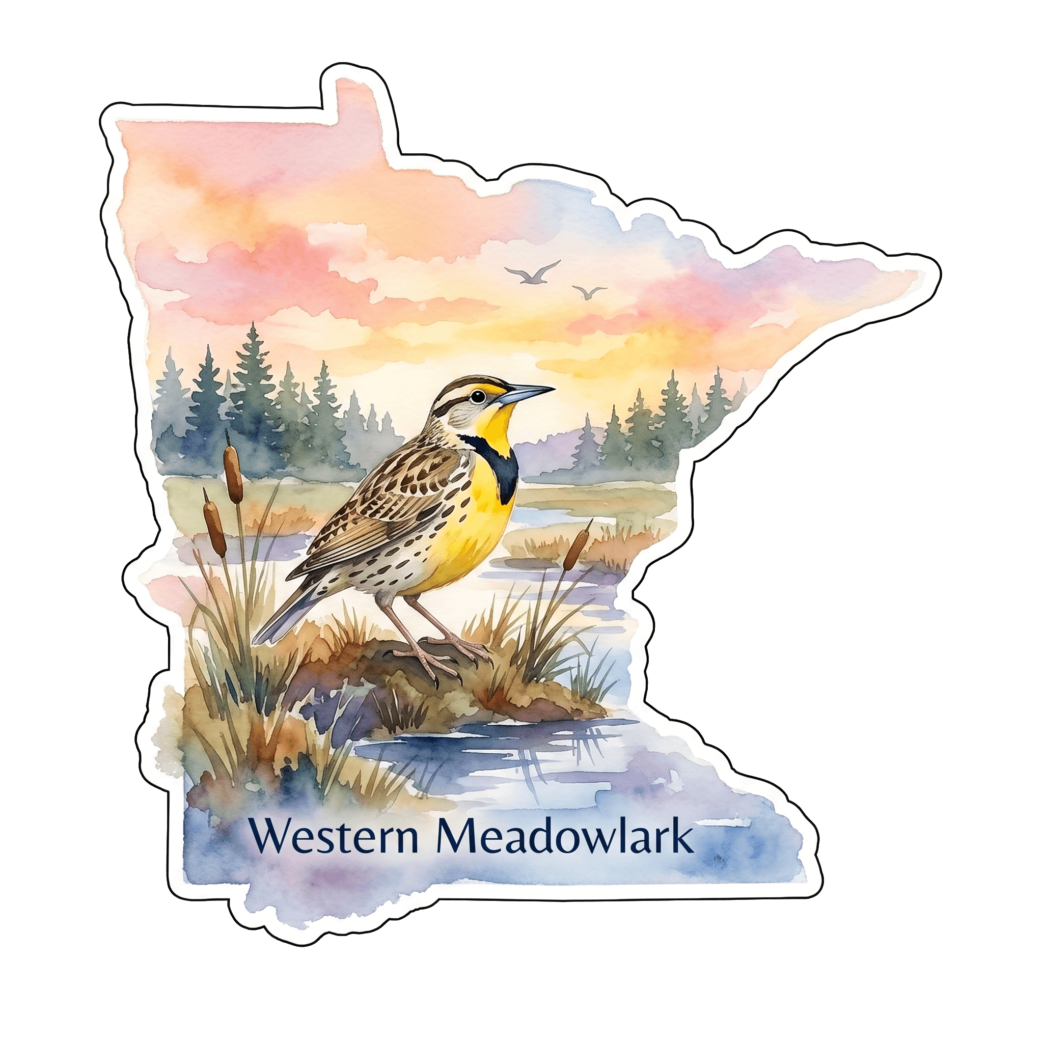 Western Meadowlark: MN Prairie Gem